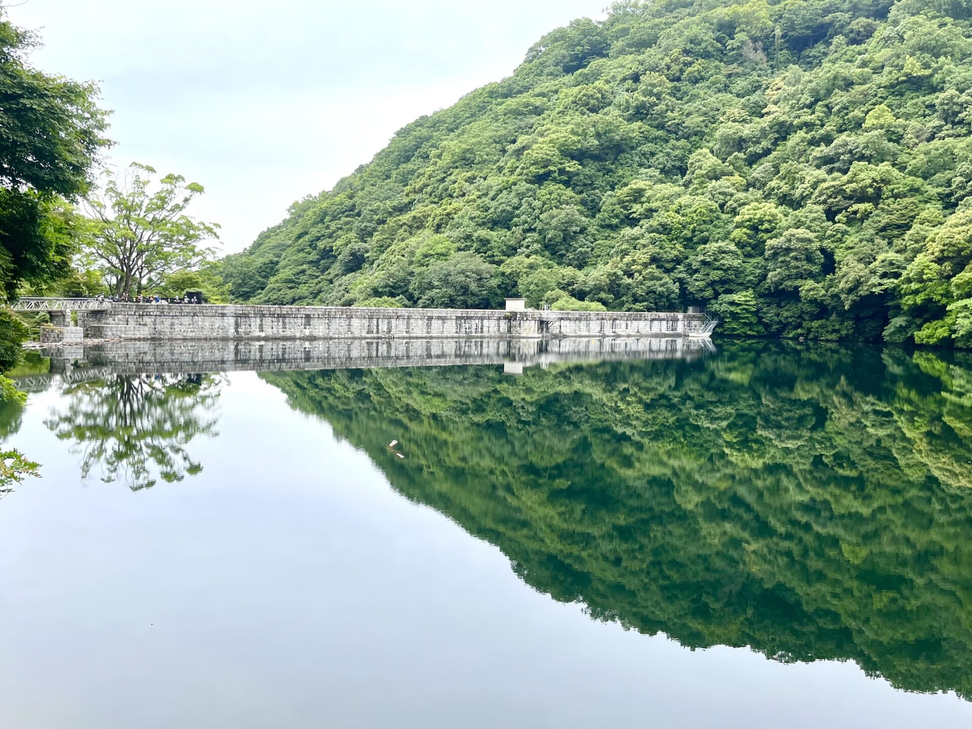布引の滝～神戸市立森林植物園のつもりが…摩耶山へハイキング