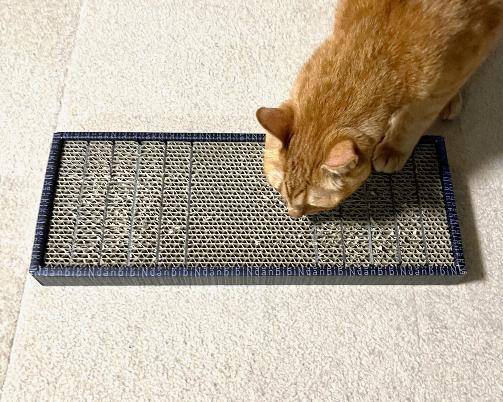 爪切り嫌いな猫に爪削りボード「bibi Nyan（ビビニャン）」を試してみた。