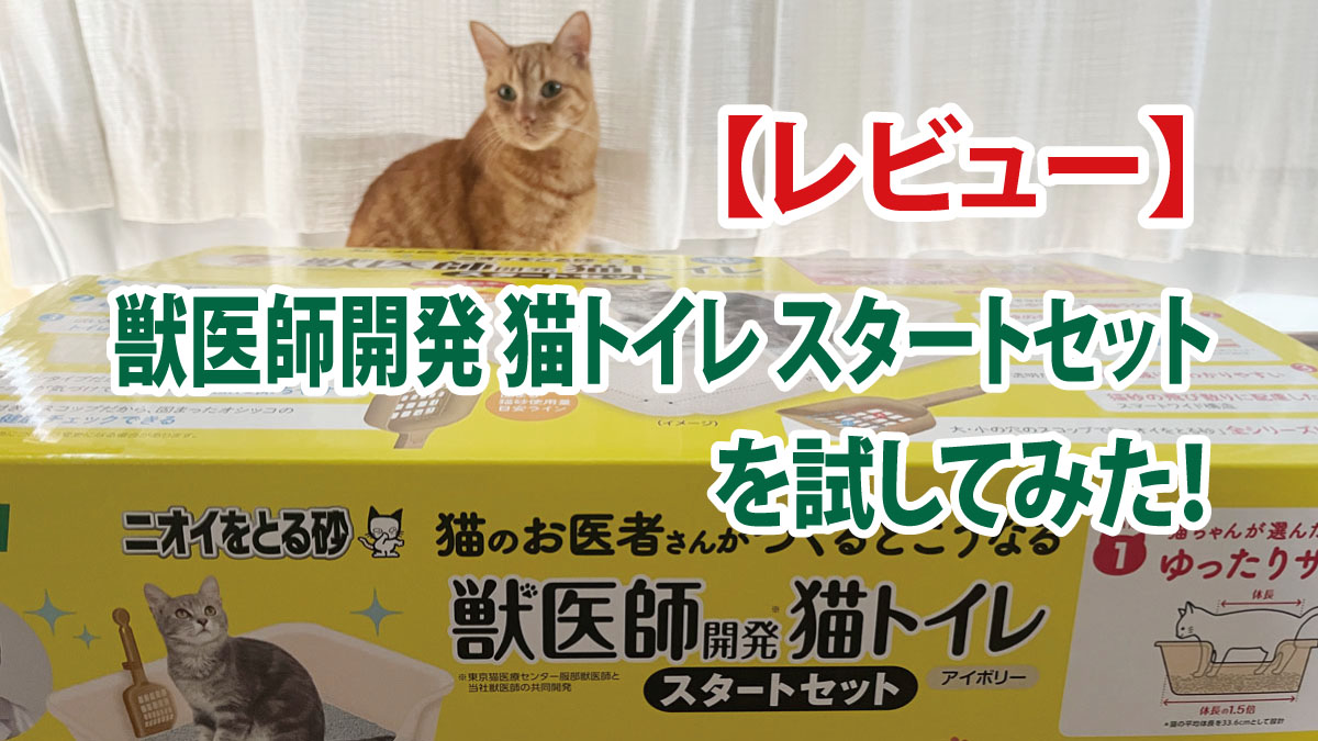 【レビュー】LION「獣医師開発 猫トイレ スタートセット」試してみた！
