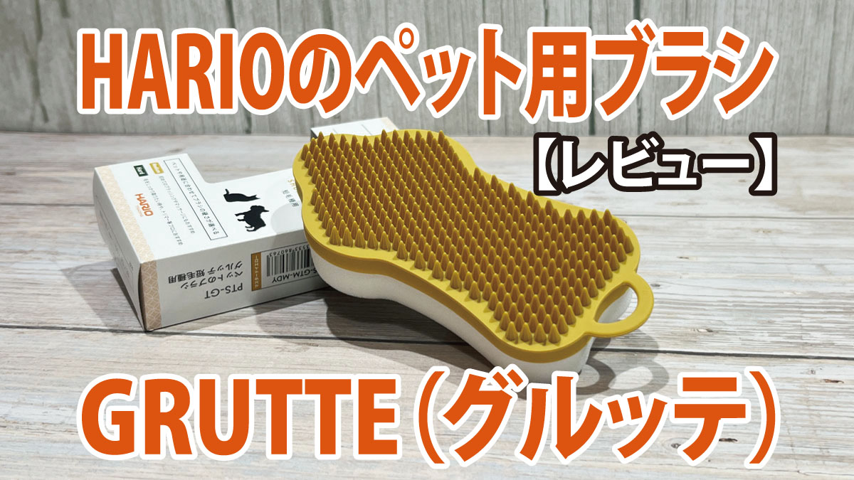 【レビュー】HARIOのペット用ブラシ「グルッテ」｜ブラッシングも掃除もこれ一本！