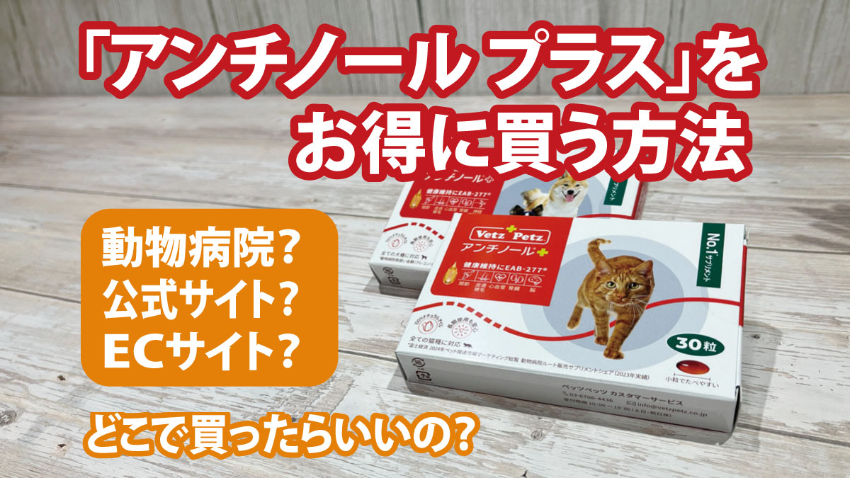 【体験レビュー】犬・猫用サプリ「アンチノール プラス」をお得に買う方法