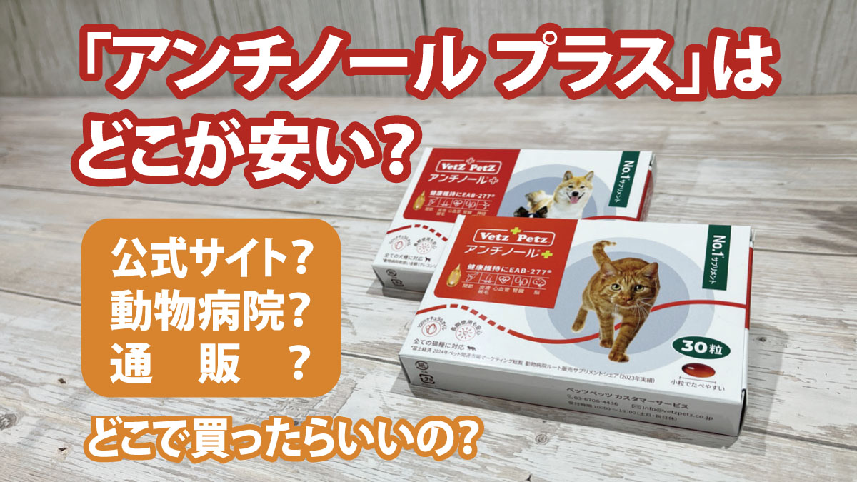 アンチノール プラスはどこが安い？公式・動物病院・通販を比較