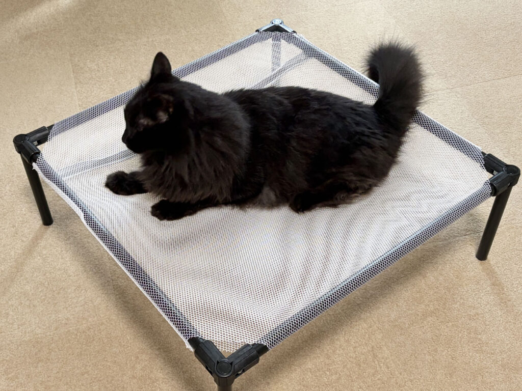 手作りのメッシュ猫ベッドに飛び乗ってきた黒い長毛の猫