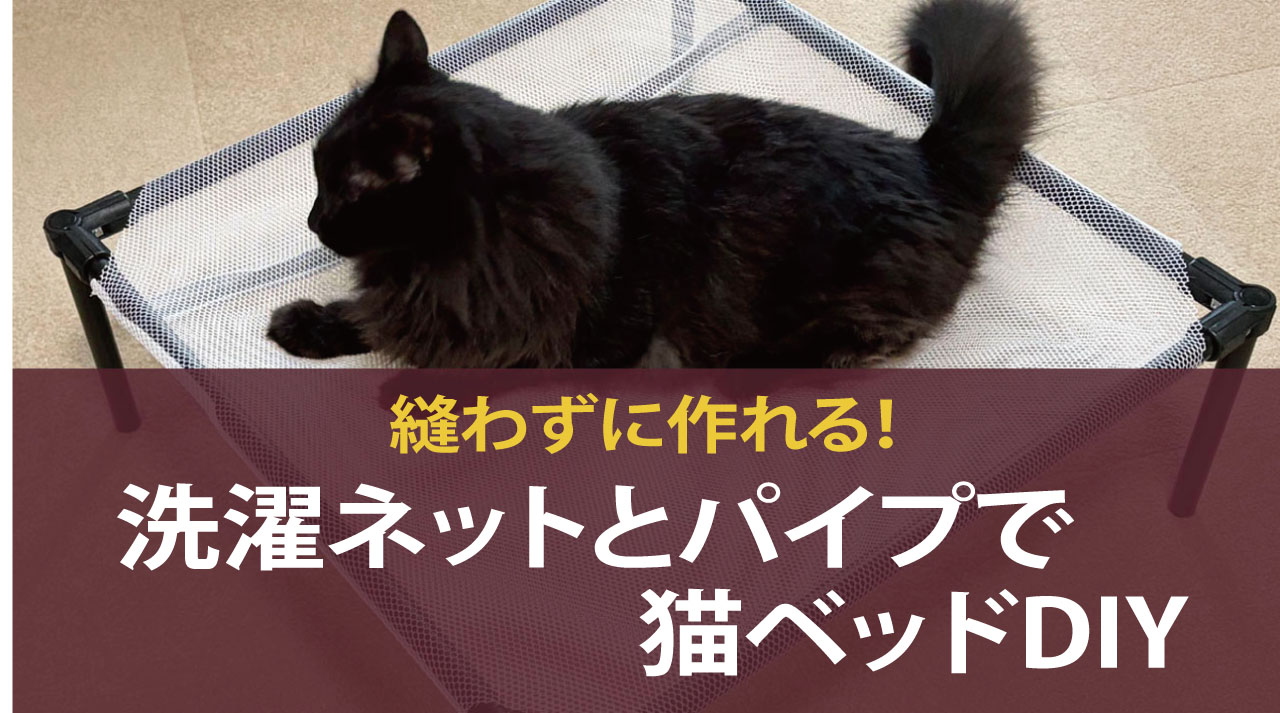 洗濯ネットとパイプで手作りした猫ベッドに乗る黒猫